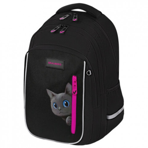 Рюкзак BRAUBERG INTENT, 2 отделения, 4 кармана, Peering cat, 39х27х14 см, 274396