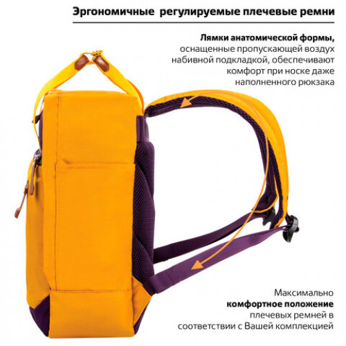 Рюкзак BRAUBERG FRIENDLY молодежный, горчично-фиолетовый, 37х26х13 см, 270093