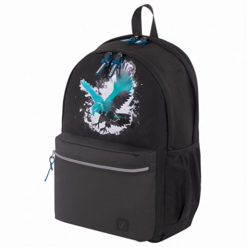 Рюкзак BRAUBERG FASHION CITY, универсальный, Eagle, 46х31х15 см, 229967