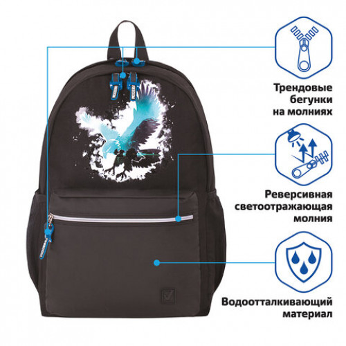 Рюкзак BRAUBERG FASHION CITY, универсальный, Eagle, 46х31х15 см, 229967