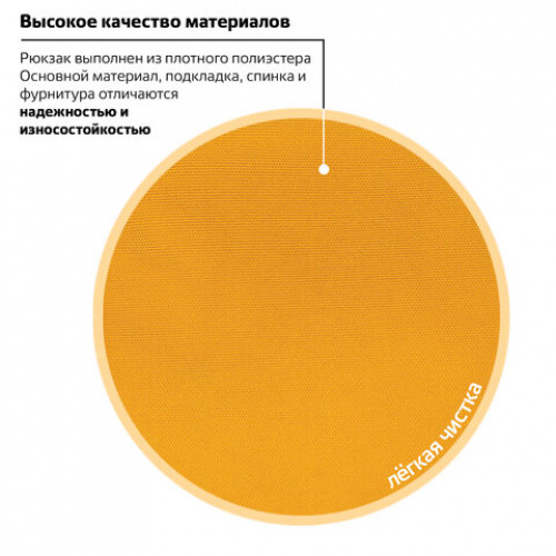Рюкзак BRAUBERG FRIENDLY молодежный, горчично-фиолетовый, 37х26х13 см, 270093