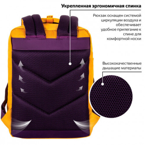 Рюкзак BRAUBERG FRIENDLY молодежный, горчично-фиолетовый, 37х26х13 см, 270093