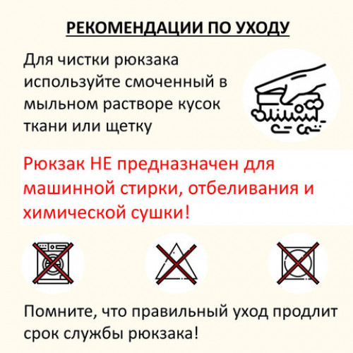 Рюкзак BRAUBERG POSITIVE универсальный, карман-антивор, Ducks, 42х28х14 см, 271681