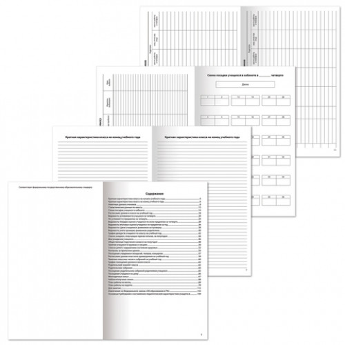 Книга BRAUBERG Журнал классного руководителя, 80 л., А4, 200х290 мм, твердая обложка, офсет, 127925
