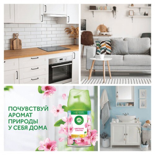 Сменный баллон 250мл AIRWICK Freshmatic Цветущая сакура, ш/к 96207, 3316668