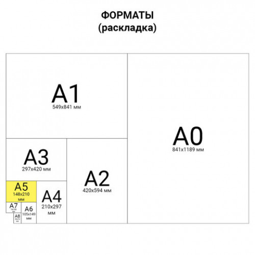 Сменный блок для тетрадей на 4 кольцах А5 120 л., BRAUBERG, ПОВЫШЕННОЙ ПЛОТНОСТИ, белый, 403638