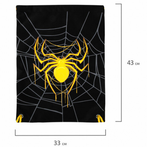 Мешок для обуви BRAUBERG PREMIUM, карман, подкладка, светоотражайка, 43х33 см, Venomous spider, 271624