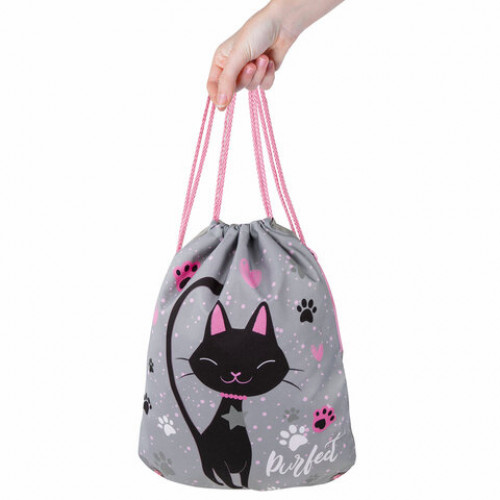 Мешок для обуви BRAUBERG PREMIUM, карман, подкладка, светоотражайка, 43х33 см, Elegant cat, 271620