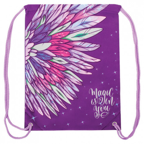 Мешок для обуви BRAUBERG PREMIUM, карман, подкладка, светоотражающие элементы, 43х33 см, Wings, 270280