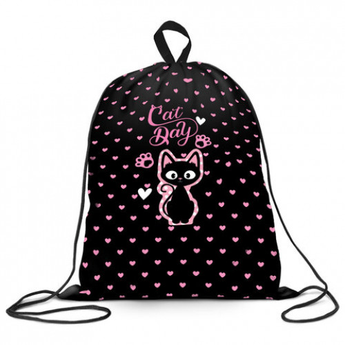 Мешок для обуви BRAUBERG KIDS, с петлей, 42х34 см, Amazed cat, 271629