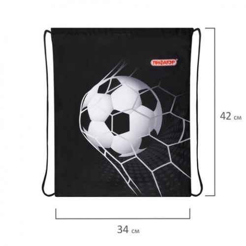 Мешок для обуви ПИФАГОР, 1 отделение, 42х34 см, Ball kick, 272386