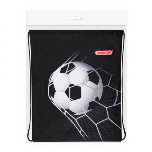 Мешок для обуви ПИФАГОР, 1 отделение, 42х34 см, Ball kick, 272386