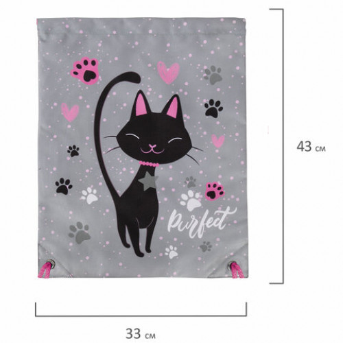 Мешок для обуви BRAUBERG PREMIUM, карман, подкладка, светоотражайка, 43х33 см, Elegant cat, 271620