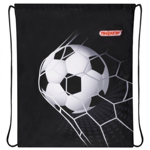 Мешок для обуви ПИФАГОР, 1 отделение, 42х34 см, Ball kick, 272386