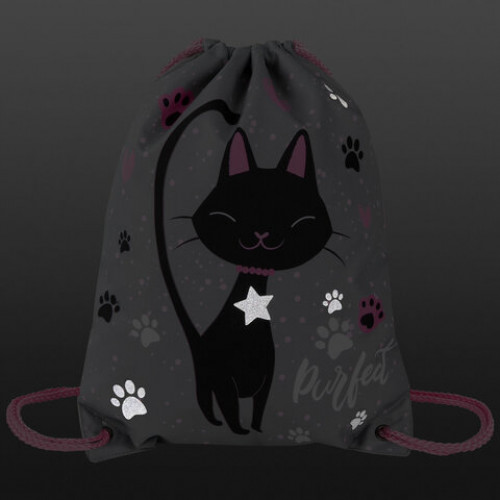 Мешок для обуви BRAUBERG PREMIUM, карман, подкладка, светоотражайка, 43х33 см, Elegant cat, 271620