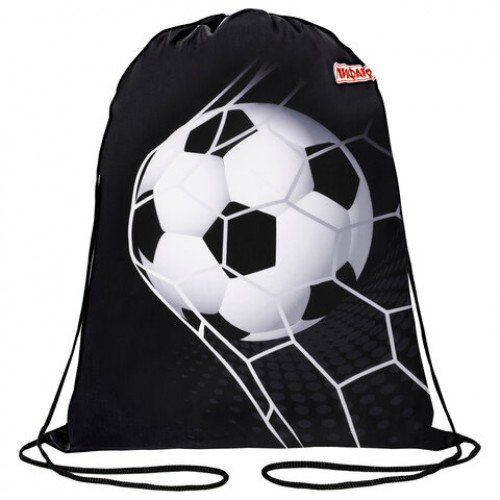 Мешок для обуви ПИФАГОР, 1 отделение, 42х34 см, Ball kick, 272386