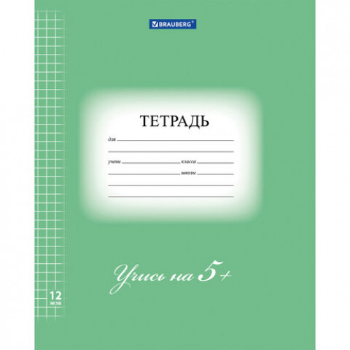 Тетрадь 12 л. BRAUBERG ЭКО 5-КА, клетка, обложка плотная мелованная бумага, ЗЕЛЕНАЯ, 104759