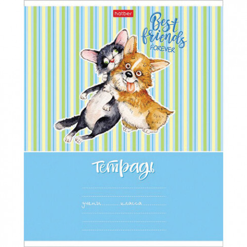 Тетрадь 18 л. HATBER клетка, обложка картон, Из жизни корги (5 видов в спайке),18Т5В1