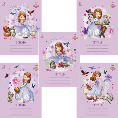 Тетрадь 12 л., HATBER, клетка, обложка картон, София Прекрасная (5 видов в спайке), 12Т5блВ1