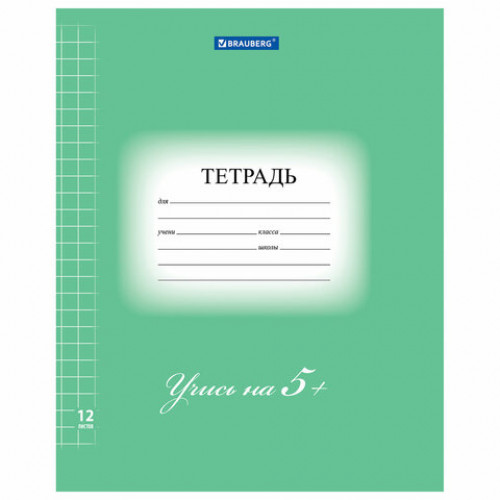 Тетрадь 12 л. BRAUBERG ЭКО 5-КА, крупная клетка, обложка плотная мелованная бумага, ЗЕЛЕНАЯ, 104761