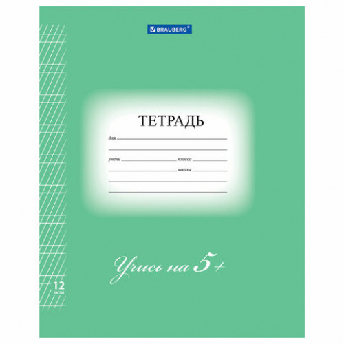 Тетрадь 12 л. BRAUBERG ЭКО 5-КА, частая косая линия, обложка плотная мелованная бумага, ЗЕЛЕНАЯ, 104766