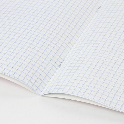 Тетрадь BRAUBERG EXTRA 18 л., клетка, плотная бумага 80 г/м2, обложка картон, 105708