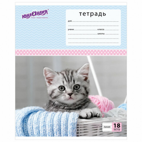 Тетрадь 18 л. ЮНЛАНДИЯ линия, обложка картон, КОТИКИ, 403583