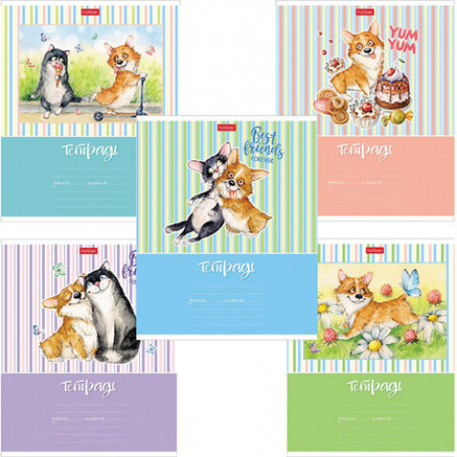 Тетрадь 18 л. HATBER клетка, обложка картон, Из жизни корги (5 видов в спайке),18Т5В1