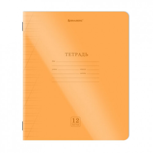 Тетрадь пластиковая обложка (НЕОН) 12 листов, косая линия, BRAUBERG Smart Cover, АССОРТИ (микс в спайке), 405027
