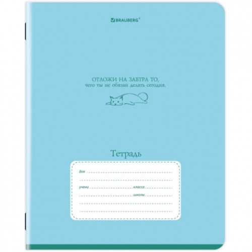 Тетрадь 12л. BRAUBERG клетка, обложка картон, PHRASES, 107777