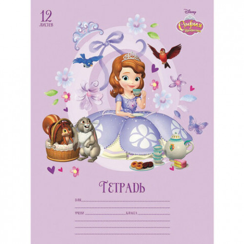 Тетрадь 12 л., HATBER, клетка, обложка картон, София Прекрасная (5 видов в спайке), 12Т5блВ1