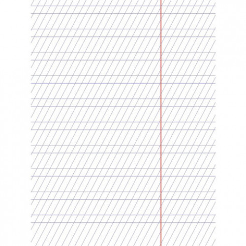 Тетрадь 12 л., HATBER Premium, частая косая линия, обложка картон, Панда, 12Т5A5_23630