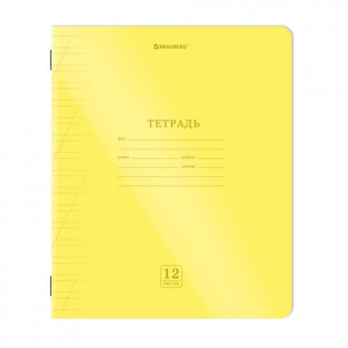 Тетрадь пластиковая обложка (НЕОН) 12 листов, косая линия, BRAUBERG Smart Cover, АССОРТИ (микс в спайке), 405027