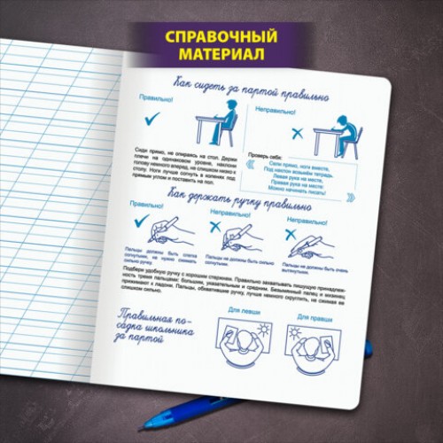Тетрадь УЧУСЬ ПИСАТЬ №3 12л. косая линия с ДОПОЛНИТЕЛЬНОЙ ГОРИЗОНТАЛЬНОЙ, со справочным материалом, ЮНЛАНДИЯ, 404853