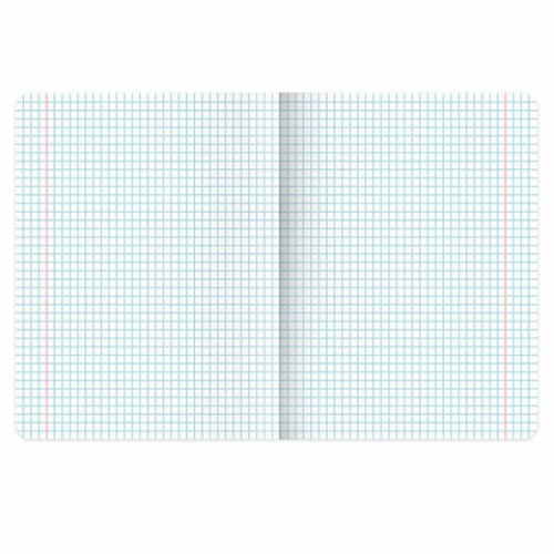 Тетрадь 12 л. BRAUBERG клетка, обложка картон, ЗВЕРУШКИ, 107264