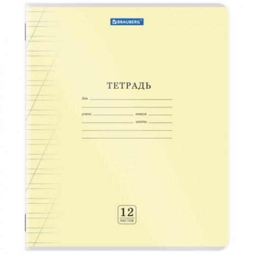 Тетрадь обложка пластик (прозрачный) 12 л., косая линия, BRAUBERG Smart Cover, АССОРТИ (в спайке), 405024