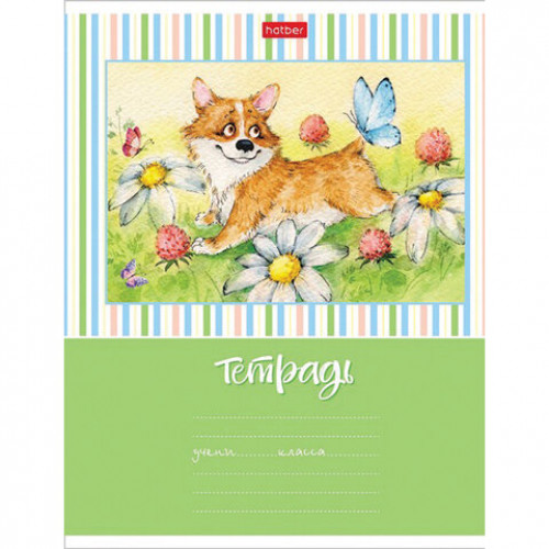 Тетрадь 18 л. HATBER клетка, обложка картон, Из жизни корги (5 видов в спайке),18Т5В1