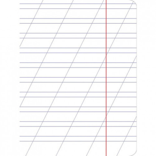 Тетрадь 12 л., HATBER Premium, косая линия, обложка картон, Панда, 12Т5A6_23630