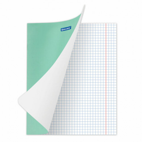 Тетрадь BRAUBERG EXTRA 18 л., клетка, плотная бумага 80 г/м2, обложка картон, 105708