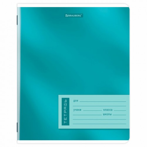 Тетрадь 18 л. BRAUBERG линия, обложка картон, ONE COLOUR, 107301