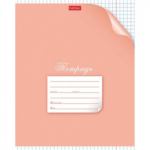 Тетрадь 12 л. HATBER клетка, обложка картон, С уголком, 12Т5В1