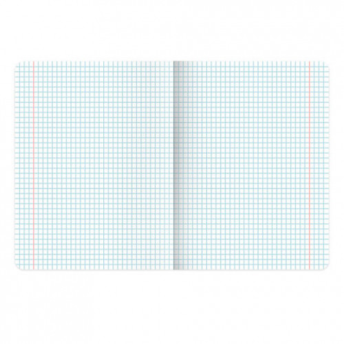 Тетрадь 18л. BRAUBERG клетка, обложка картон, ONE COLOUR, 107783