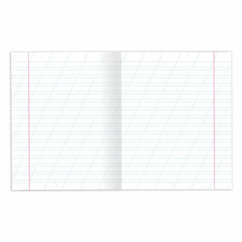 Тетради 12 л. КОМПЛЕКТ 20 шт. BRAUBERG ВЕЛИКИЕ ИМЕНА ЕСЕНИН С.А., косая линия, бумага 80 г/м2, 880018