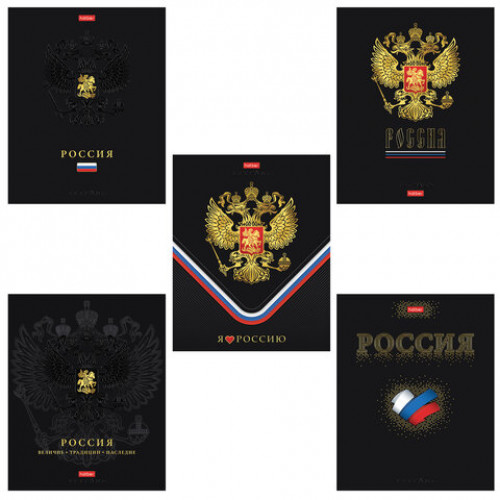 Тетрадь А5 48л. HATBER скоба, клетка, матовая ламинация, 3D фольга, 3D лак, Россия (м, 48Т5лофлВ1