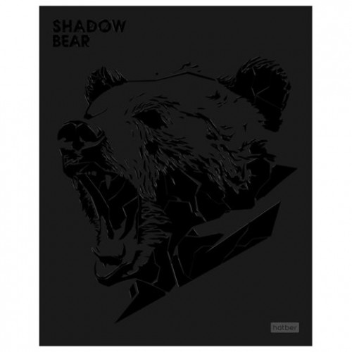 Тетрадь А5 48л. HATBER скоба, клетка, матовая ламинация, 3D лак, Shadow (микс в спайк, 48Т5лолВ1