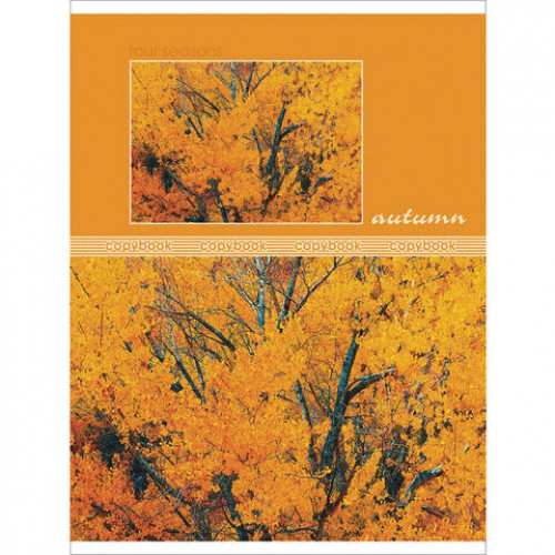 Тетрадь А5, 48 л., HATBER-ECO, скоба, офсет №2 ЭКОНОМ, клетка, обложка картон, Seasons, 48Т5D1
