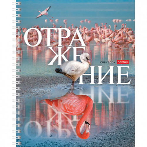 Тетрадь А5 48 л. HATBER гребень, клетка, обложка картон, Отражение (4 вида в спайке), 48Т5В1гр