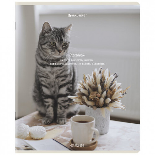 Тетради ДЭК А5 48 л. КОМПЛЕКТ 5 шт. BRAUBERG, клетка, матовая ламинация, Cats, 404673