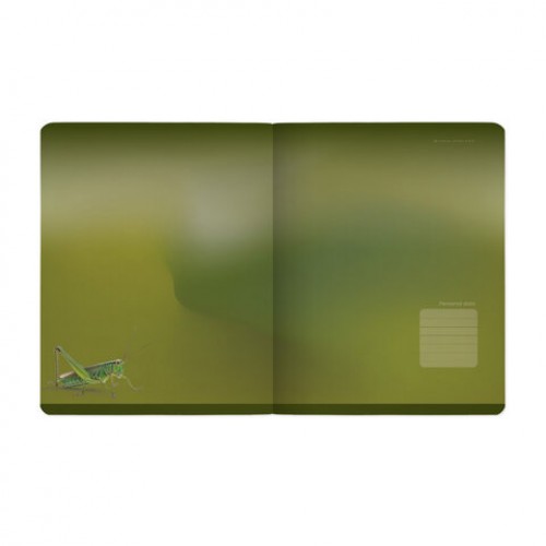 Тетрадь А5, 48 л., BRUNO VISCONTI, скоба, клетка, Soft-Touch, VERDE.ANIMALS (5 видов), 7-48-1373