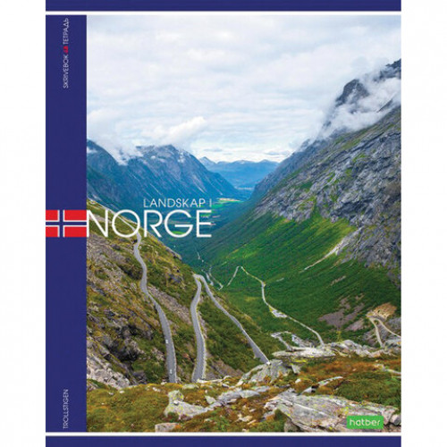 Тетрадь А5 48 л. HATBER-ECO скоба, клетка, обложка картон, NORD, 48Т5C1